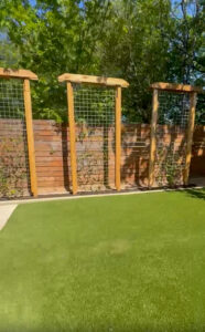 Landscaping Downtown Austin - trellis